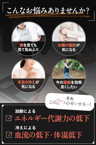 スリリンファイア SLILIN F (1袋 90粒) 温活 脂肪燃焼 皮下脂肪 ブラックジンジャー サプリ エラグ酸 基礎代謝 サポート 生姜 日本製 国産 減らす サプリメント 燃焼系 中間 画像