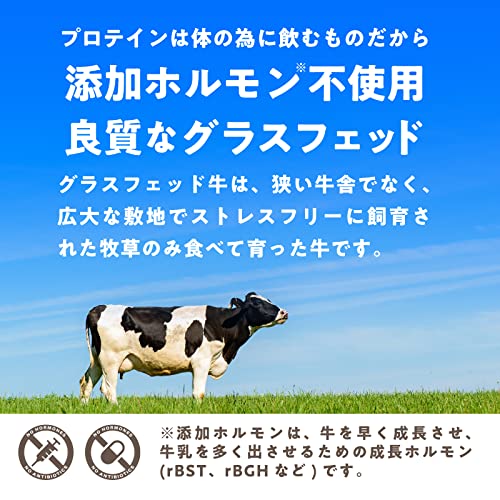 LOHAStyle(ロハスタイル) グラスフェッド プロテイン 1kg カカオ 人工甘味料不使用 ホエイプロテイン ココア チョコ 無添加 WPC 中間 画像