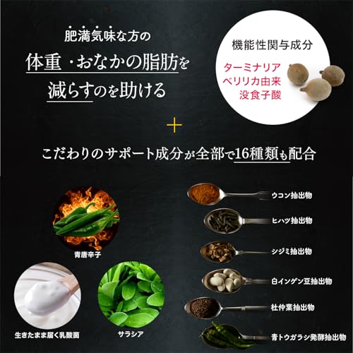 ターミナリアファースト 4 (機能性表示食品 / 120粒×1袋 / 管理栄養士推奨) 血糖値の上昇を抑える (グルメサプリ/タブレットタイプ) ターミナリアべリリカ ヒハツ 中間 画像