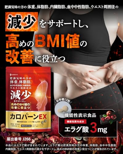 カロバーンEX 30日分 肥満気味の方の体重 体脂肪の減少を助ける 血中中性脂肪 内臓脂肪 ウエスト周囲径 の減少をサポート 高めの BMI値 の改善に役立つ 機能性表示食品 αリポ酸 業界屈指23種のサポート成分贅沢配合 悩み解決ラボ 最後 画像