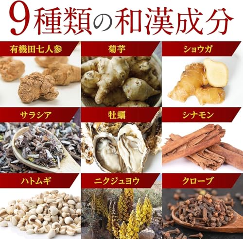 【国際中医師監修】桑の葉&茶カテキンの恵み 1袋 120粒 血糖値上昇を抑える 機能性表示食品 薬剤師監修 カテキン 錠剤 (1袋) 中間 画像
