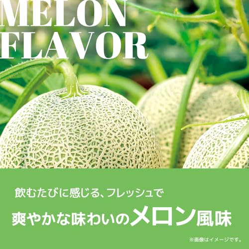 ラット プロテイン ホエイ 1kg ビタミン 11種配合 国内製造 高たんぱく メロン風味 メロン フルーツ シェイカーで溶けやすい 糖質摂取 トレーニングに最適 LATs(ラット) by MY ROUTINE(マイ ルーティーン プロテイン) 中間 画像