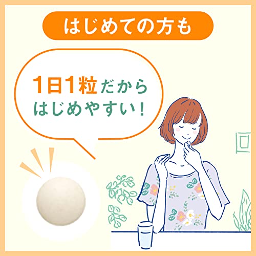 ディアナチュラスタイル 亜鉛 90粒(90日) アサヒ サプリ Dear-Natura 国内工場で生産 1日1粒目安 パウチ マカエキス配合 中間 画像