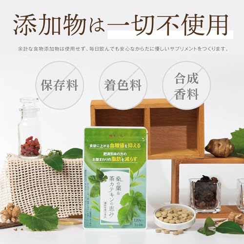 【国際中医師監修】桑の葉&茶カテキンの恵み 1袋 120粒 血糖値上昇を抑える 機能性表示食品 薬剤師監修 カテキン 錠剤 (1袋) 中間 画像