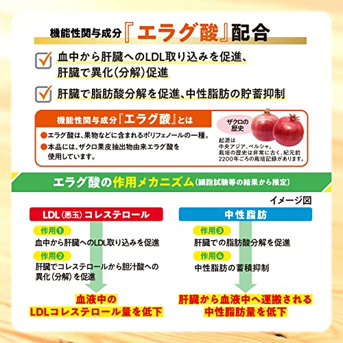 【機能性表示食品】コレス&ミドルケア さらっとおいしい青汁 30袋 大正製薬 リビタ(Livita)/大麦若葉青汁(国産)/コレステロールや中性脂肪が気になる方/エラグ酸配合/届出番号:H125 中間 画像