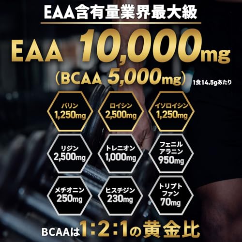 EAA 人工甘味料不使用 グレープフルーツ風味 ハルクファクター オールインワン配合 BCAA クエン酸 βアラニン 必須アミノ酸 サプリ 国産 520g 中間 画像