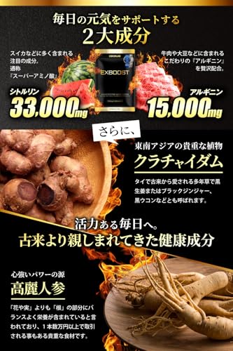 COCOLAB EXBOOST 生姜 シトルリン アルギニン サプリメント 厳選成分 亜鉛 日本製 全9種成分配合 30日分 180個 (x 2) 中間 画像