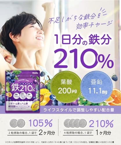 【高吸収×持続型のW 鉄分 】 1日分の鉄分210% サプリメント 葉酸 亜鉛 マルチビタミン 葉酸サプリ 亜鉛サプリ ビタミンサプリ 鉄 てつ 妊活 Wellio ウェリオ (1袋) 最後 画像
