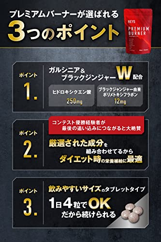 REYS レイズ 【PREMIUM BURNER】 プレミアムバーナー 120粒 （使用目安約30回分）山澤礼明監修 8種の厳選成分配合 ガルニシア（HCA） ブラックジンジャー カルニチン ヒハツ αリポ酸 カフェイン ナイアシン パントテン酸 中間 画像
