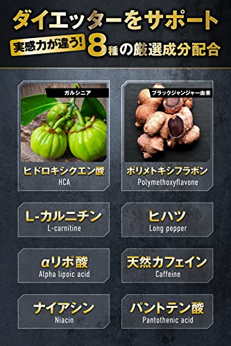 REYS レイズ 【PREMIUM BURNER】 プレミアムバーナー 120粒 （使用目安約30回分）山澤礼明監修 8種の厳選成分配合 ガルニシア（HCA） ブラックジンジャー カルニチン ヒハツ αリポ酸 カフェイン ナイアシン パントテン酸 中間 画像