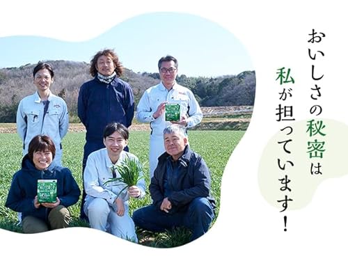 【Amazon.co.jp限定】ヤクルトヘルスフーズ 私の青汁90袋 青汁 大分県産 大麦若葉 農薬・化学肥料不使用 エキス末だから溶けやすい 粉末 大容量 中間 画像