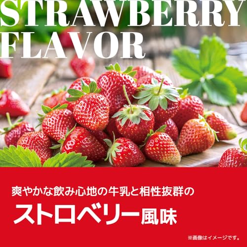 ラット プロテイン ホエイ 1kg ビタミン 11種配合 国内製造 高たんぱく ストロベリー風味 ストロベリー ベリー フルーツ シェイカーで溶けやすい 糖質摂取 トレーニングに最適 LATs(ラット) by MY ROUTINE(マイ ルーティーン プロテイン) 中間 画像