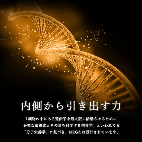 VAVAV MEGA パフォーマンスサプリ メガビタミン ビオチン マルチビタミン ミネラル サプリメント 完全栄養食 分子栄養学設計 1粒凝縮 最大125倍 サプリ 90粒 中間 画像