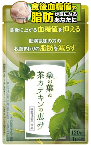 【国際中医師監修】桑の葉&茶カテキンの恵み 1袋 120粒 血糖値上昇を抑える 機能性表示食品 薬剤師監修 カテキン 錠剤 (1袋) 1枚目 画像