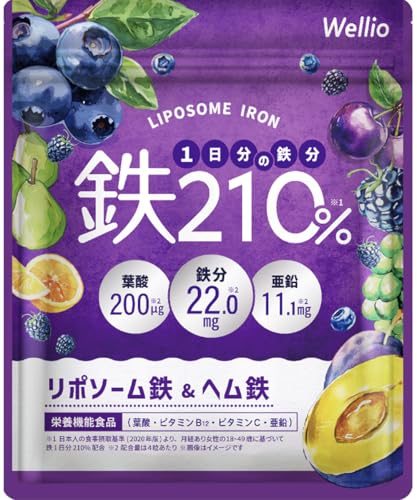 【高吸収×持続型のW 鉄分 】 1日分の鉄分210% サプリメント 葉酸 亜鉛 マルチビタミン 葉酸サプリ 亜鉛サプリ ビタミンサプリ 鉄 てつ 妊活 Wellio ウェリオ (1袋) 1