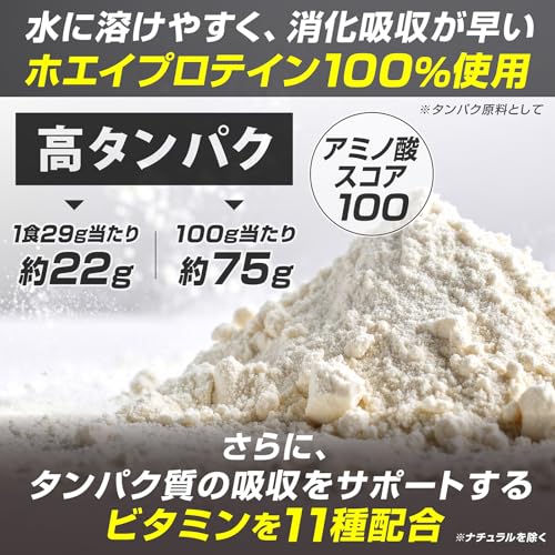 グロング GronG ホエイプロテイン100 スタンダード ココア風味 1kg 中間 画像