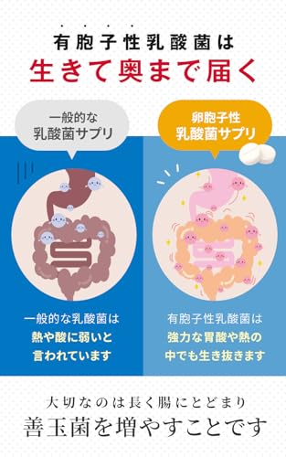 【指定医薬部外品】ラクトロン錠 180錠/30日分 明治薬品 生きて奥まで届ける乳酸菌 整腸 胃腸活 サプリメント 胃もたれ 食欲不振 消化不良 パウチタイプ 紅麹不使用 シリアルナンバー付 中間 画像