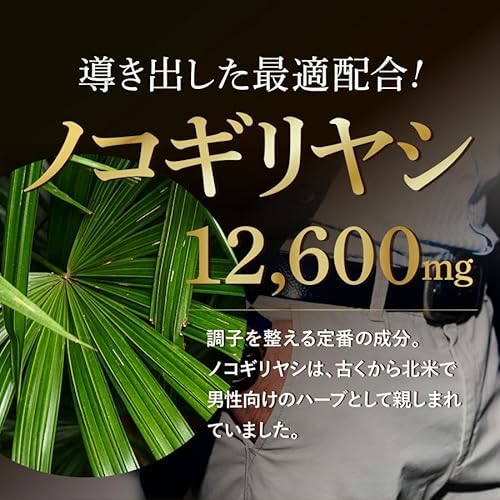 和漢の森 贅沢ノコギリヤシ420 60粒入り牡蠣 高麗人参 ヤマイモ 亜鉛 国内製造 栄養機能食品 ソフトカプセル 中間 画像