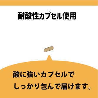 高含有 高濃度 ナットウキナーゼ 1粒で7600FU 中間 画像