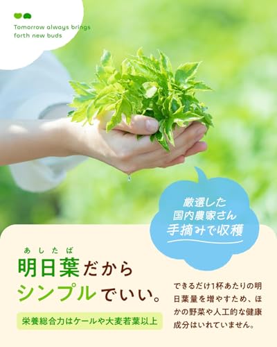 【公式】boco to deco(筒タイプ) 青汁 粉末 明日葉 子どもでも飲める 野菜嫌い 偏食のサポートに 食物繊維 無添加 ノンカフェイン 国産 ビタミンたっぷり 個包装 3g×20包 中間 画像