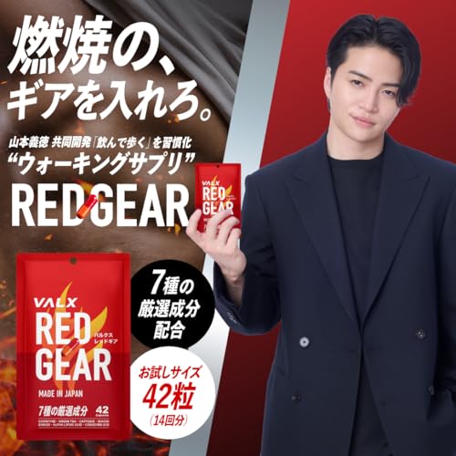 VALX バルクス RED GEAR レッドギア 42粒 14回分 【運動中に】 ダイエットサポート L-カルニチン カフェイン 緑茶カテキン コエンザイムQ10 お試し ナイアシン ジンジャーエキス トレーニング 山本義徳監修 国内生産 中間 画像