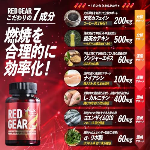 VALX バルクス RED GEAR レッドギア 180粒×2個セット 60日分 【運動中に】 ダイエットサポート L-カルニチン ナイアシン ジンジャーエキス トレーニング 山本義徳監修 国内生産 最後 画像