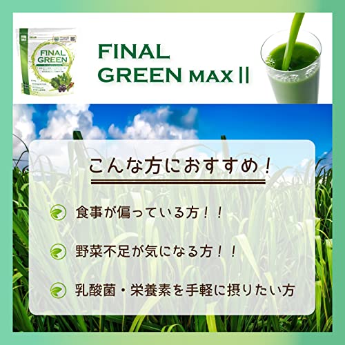 ファイン・ラボ ファイナルグリーン 300g 中間 画像