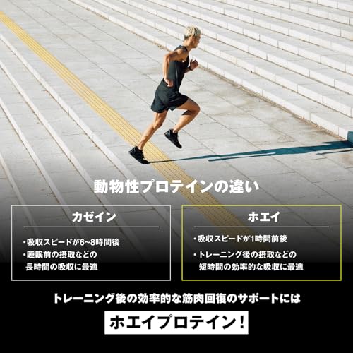 【国内正規品】ON Gold Standard 100% ホエイプロテイン チョコレートピーナッツバター 主原料WPI 726g(1.6lb) 「ボトルタイプ」 オプティマムニュートリション(Optimum Nutrition) 中間 画像