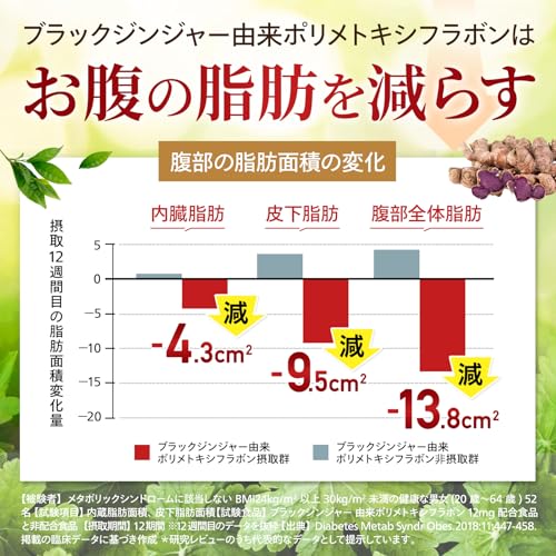 【クリニック共同開発】シボレール青汁 機能性表示食品 ブラックジンジャー×乳酸菌 腹部の脂肪が気になる方 国産 30包 届出番号H1022 (30日分) 中間 画像