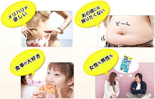 DHC フォースコリー 30日分 (120粒) 中間 画像