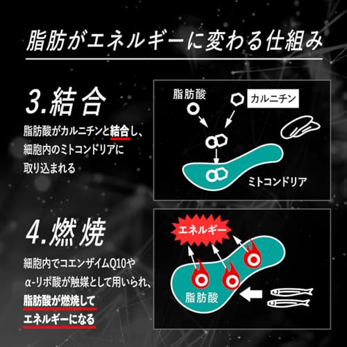 VALX バルクス RED GEAR レッドギア 180粒×2個セット 60日分 【運動中に】 ダイエットサポート L-カルニチン ナイアシン ジンジャーエキス トレーニング 山本義徳監修 国内生産 中間 画像
