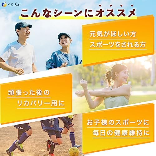 ファイン [機能性表示食品] クエン酸粒 ビタミンB1 ビタミンB2 ビタミンB6 配合 国内生産 40日分 (1日7粒/280粒入) 最後 画像