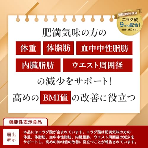 ナイシメンテGOLD エラグ酸 9mg 肥満気味の方の 体重 体脂肪 内臓脂肪 中性脂肪 ウエスト周囲径 の減少を助ける 機能性表示食品 ダイエット サポート サプリメント 60粒(30日分) (2個) 中間 画像