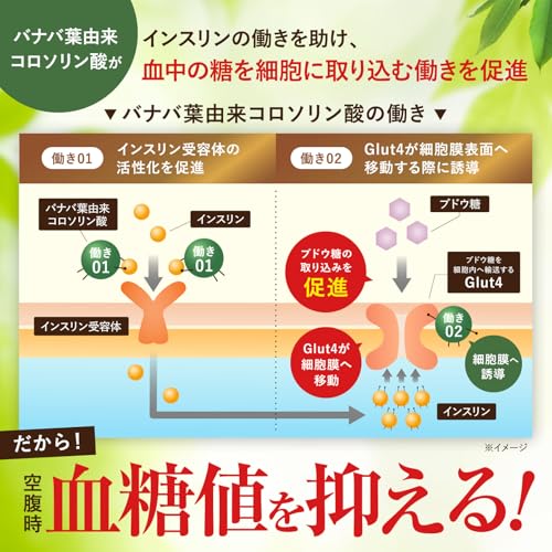 【医師監修】 バナバの極み 空腹時の高めの血糖値を下げる バナバ葉由来コロソリン酸0.9mg 30粒 約30日分 イヌリン サラシア ハトムギ 田七人参 ショウガ末 ギムネマ 機能性表示食品 サプリ 国内GMP認定工場 新日本ヘルス 中間 画像