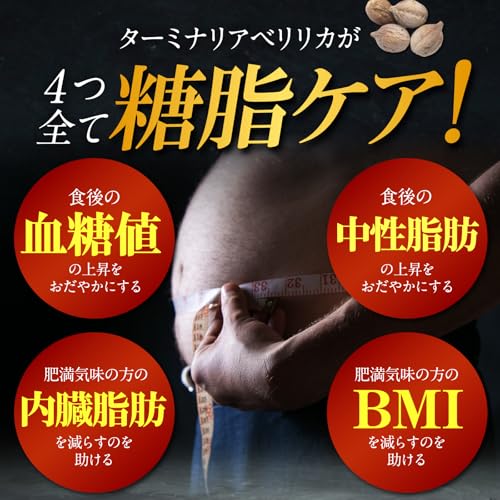 【60日分/120粒】ターミナリアタイト ターミナリアベリリカ 食後 血糖値 中性脂肪 上昇抑える 肥満気味の方の 内臓脂肪 BMI を減らすのを助ける ダイエットサポート 脂肪や糖の吸収を抑える 機能性表示食品 漢方生薬研究所 中間 画像