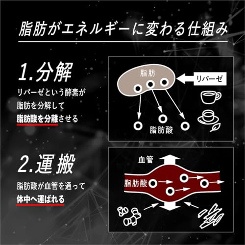 VALX バルクス RED GEAR レッドギア 180粒 30日分 【運動中に】 ダイエットサポート L-カルニチン ナイアシン ジンジャーエキス トレーニング 山本義徳監修 国内生産 中間 画像