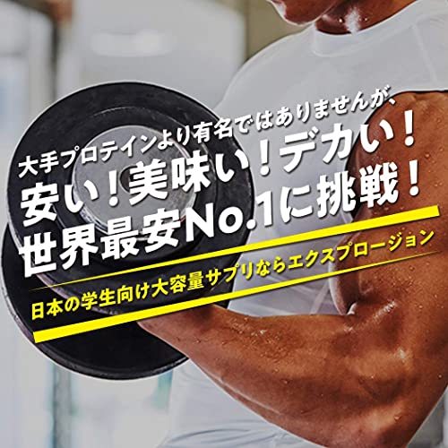 エクスプロージョン プロテイン 3kg ホエイプロテイン バニラ味 WPC X-PLOSION 日本製造 最後 画像