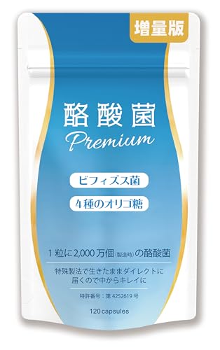 【増量版120粒】エーギフト 酪酸菌プレミアム 24億個 1粒に2000万個 ビフィズス菌 短鎖脂肪酸 30～120日分 1