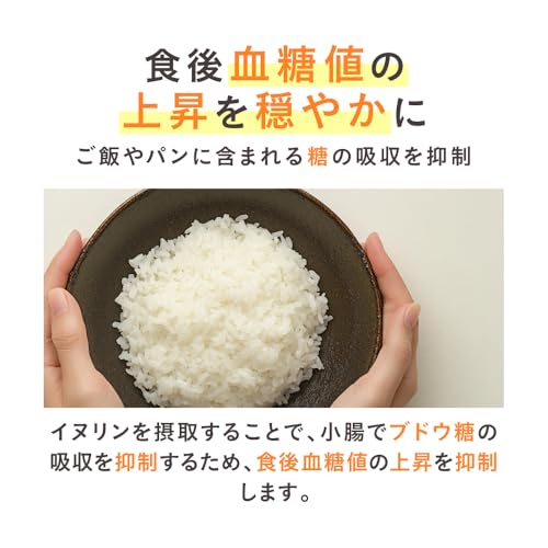 LOHAStyle(ロハスタイル) イヌリン 顆粒 500g 機能性表示食品 食後の血糖値が気になる方に チコリ由来 水溶性食物繊維 Non-GMO 菊芋 イヌリア 中間 画像