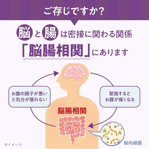 【森永乳業 公式】メモリービフィズス 記憶対策サプリ [ 機能性表示食品 記憶力 認知 サプリ 脳活 ビフィズス菌 ] 1袋/60カプセル入り×6袋 中間 画像