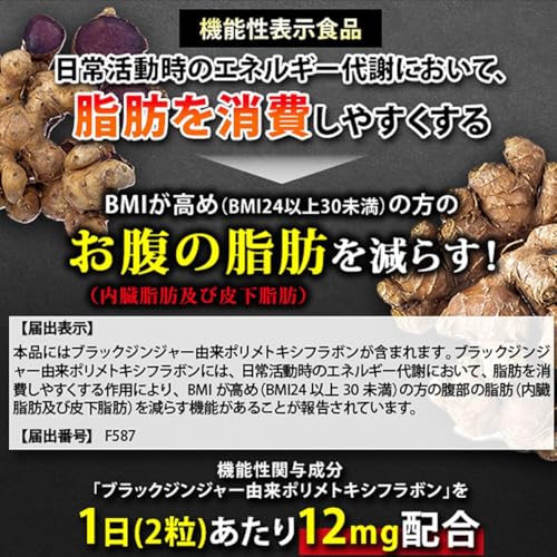 ナイシボーンEX 1袋30日分 ダイエットサプリ 内臓脂肪 皮下脂肪 お腹の脂肪 を減らす 脂肪燃焼サプリ ブラックジンジャー由来ポリメトキシフラボン配合 機能性表示食品 黒生姜 ヒハツ カルニチン ギムネマ EAA 中間 画像