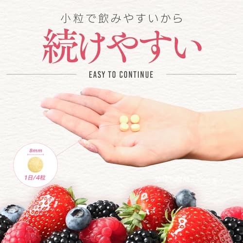 VITAS（バイタス） VITA FIT.fe ビタフィット 鉄 葉酸 鉄分 ブドウ種子エキス 女性の為のマルチビタミン サプリ 120粒 1日4粒 30日分 12種類の栄養機能食品日本製 中間 画像