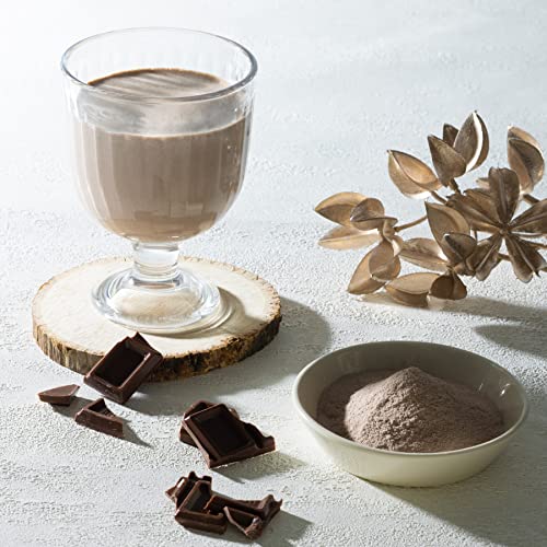 井藤漢方製薬 置き換えダイエット【短期スタイルダイエットシェイク チョコラトリー 10食分】 中間 画像