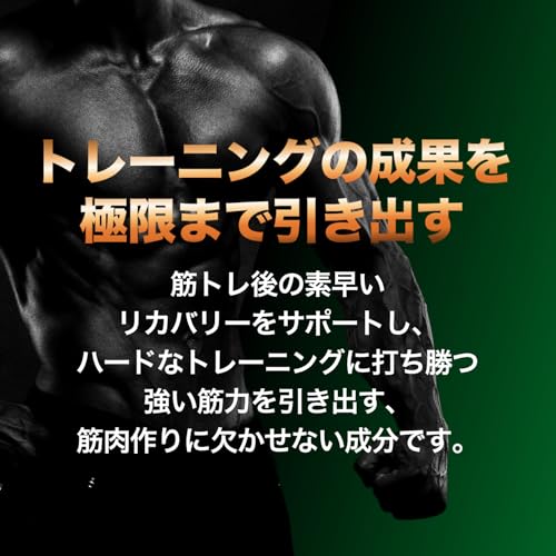 INNOCECT クレアチン パウダー 1kg モノハイドレート 1000g 国内充填 高純度99.9% 無加工 イノセクト 中間 画像