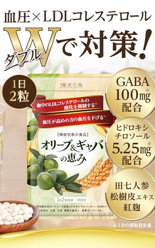 和漢の森 オリーブ&ギャバの恵み 60粒 機能性表示食品 血圧 悪玉コレステロール 松樹皮エキス 田七人参 錠剤 [メーカーカタログ付] 最後 画像