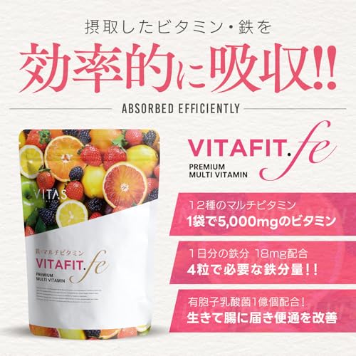 VITAS（バイタス） VITA FIT.fe ビタフィット 鉄 葉酸 鉄分 ブドウ種子エキス 女性の為のマルチビタミン サプリ 120粒 1日4粒 30日分 12種類の栄養機能食品日本製 中間 画像