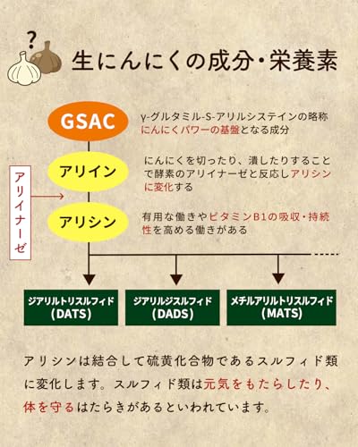 健康家族 伝統にんにく卵黄 62粒 国産にんにく 九州産有精卵黄使用 特許取得 独自生製法 アマニ油配合 毎日の元気と活力をサポート 国内製造 中間 画像