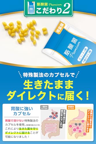 【増量版120粒】エーギフト 酪酸菌プレミアム 24億個 1粒に2000万個 ビフィズス菌 短鎖脂肪酸 30～120日分 中間 画像