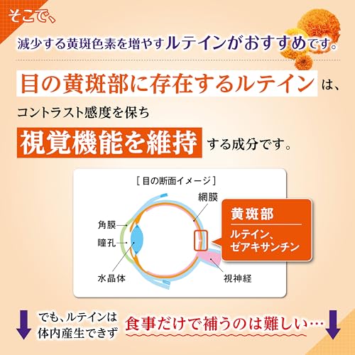 小林製薬の栄養補助食品 [ 公式 ] ルテイン サプリ 【 ぼやけ・かすみ対策 くっきり見る力対策 】 目のサプリ ルテインサプリ サプリメント [ 機能性表示食品 / 30粒 / 約30日分 ] 中間 画像