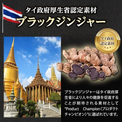 ナイシボーンEX 1袋30日分 ダイエットサプリ 内臓脂肪 皮下脂肪 お腹の脂肪 を減らす 脂肪燃焼サプリ ブラックジンジャー由来ポリメトキシフラボン配合 機能性表示食品 黒生姜 ヒハツ カルニチン ギムネマ EAA 中間 画像